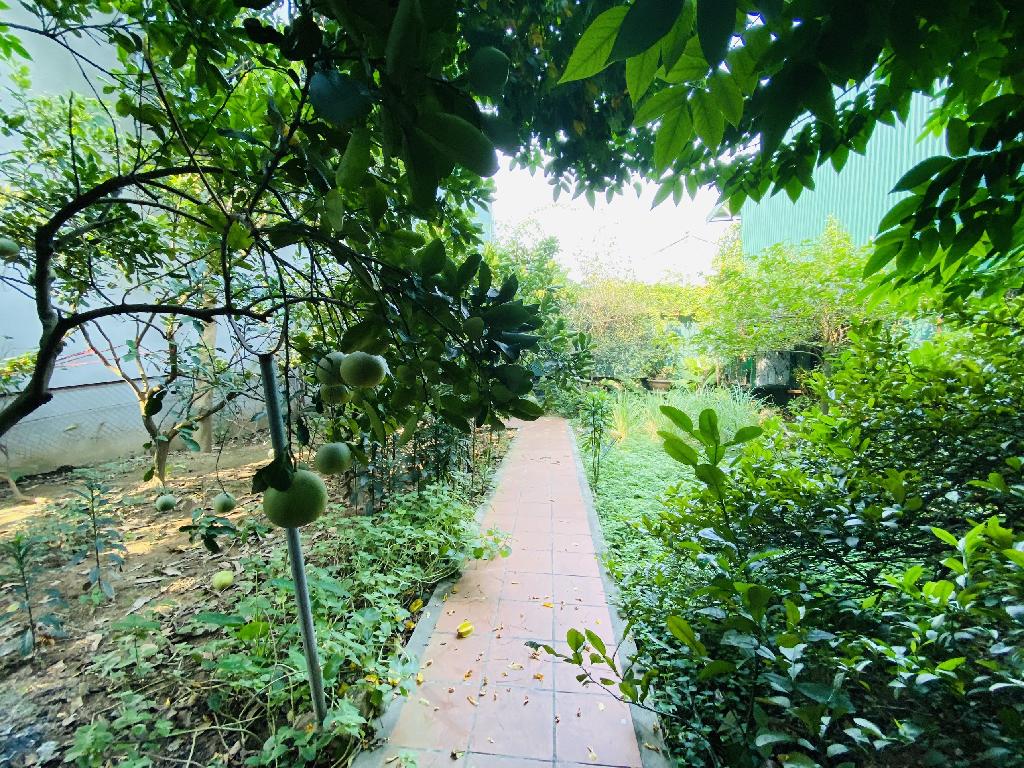 mặt phố Nguyễn Du, tài lộc hội tụ, nhà đẹp như tranh