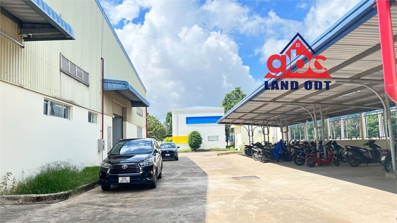 XT314 cho thuê nhà xưởng kiên cố thích hợp đầu tư nhiều ngành nghề, giao liền