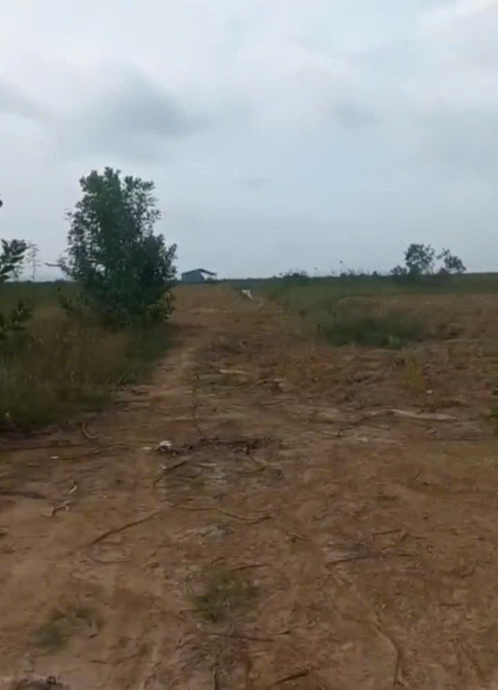 Cần bán đất 80 mẫu tại Vĩnh Cửu Đồng Nai giá cả thương lượng nhẹ