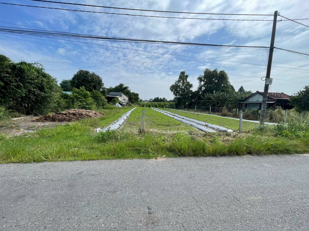 3266m2 đất mặt tiền nhựa 1/ Huỳnh Minh Mương xã Hòa Phú, Củ Chi giá 20,5 tỷ