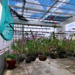  100m2 - 5