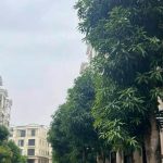  64m2 - 3