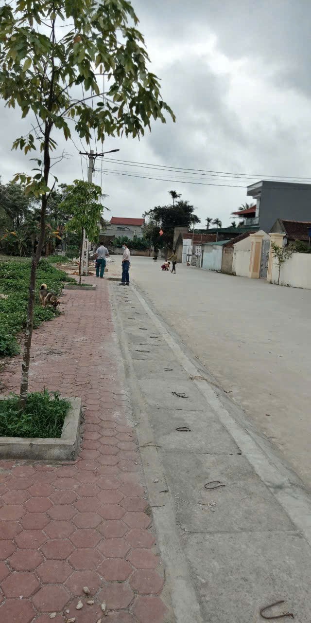 HOTT HOTT - ĐẤT ĐẸP – GIÁ TỐT – CHÍNH CHỦ CẦN BÁN NHANH 3 LÔ ĐẤT ĐẸP Tại Thanh Hóa.