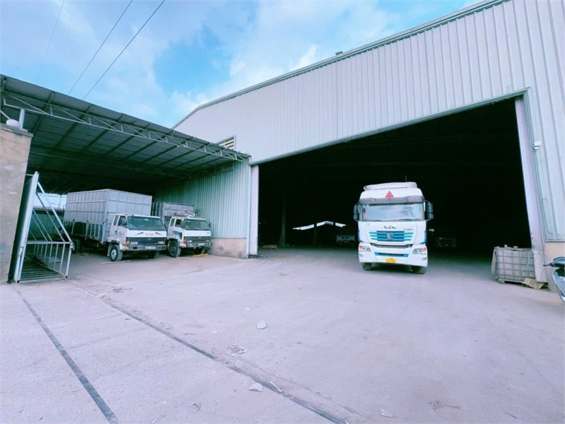 XT556 Cho thuê nhà xưởng kiên cố phục vụ nhiều ngành nghề, với vùng nguyên liệu gỗ lớn