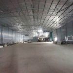 1000m2 - 5