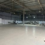  1000m2 - 4