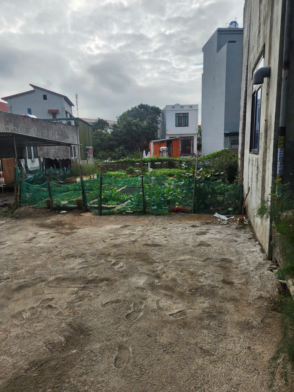 BÁN ĐẤT ĐẸP HÀ KHẨU , QUẢNG NINH– Ô TÔ VÀO TẬN NƠI – GIÁ CHỈ 2,2 TỶ