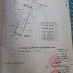  233m2 - 6