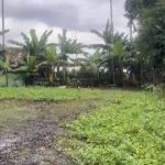  1045m2 - 4