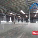  8000m2 - 3
