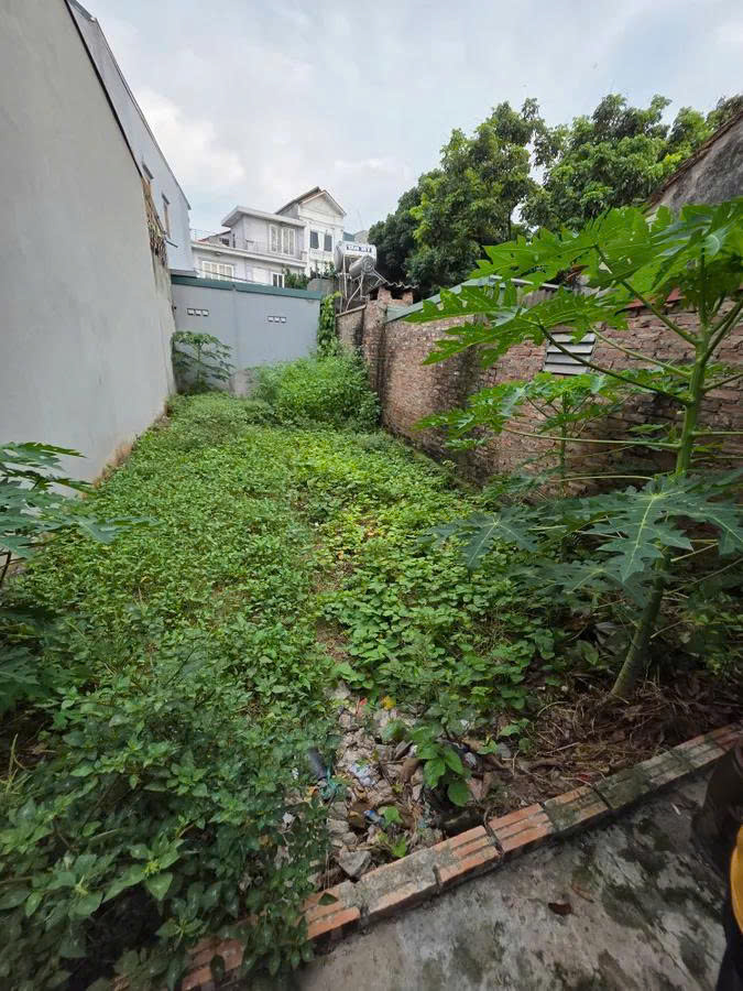 BÁN ĐẤT HÒA BÌNH - HÀ ĐÔNG 62M, MT 4.5m, giá 4.25 tỷ - Đẹp - Vuông vắn