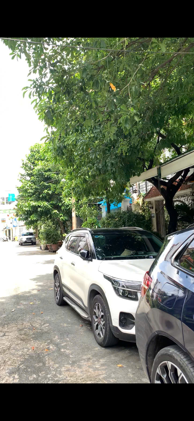 Bán gấp 10 nền đất thổ cư 74m2, đường Đình Phong Phú, Q9, TP HCM. Sổ đỏ, giá 5.75 tỷ.