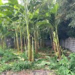  200m2 - 4