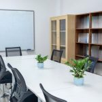 50m2 - 1