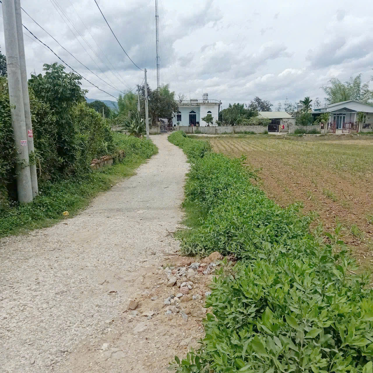 CHÍNH CHỦ CẦN NHƯỢNG LẠI MẢNH ĐẤT TẠI XÃ THANH YÊN - HUYỆN ĐIỆN BIÊN - TỈNH ĐIỆN BIÊN