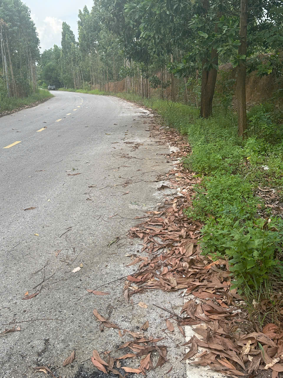 SIÊU PHẨM ĐẤT LỚN HIẾM CÓ TẠI VIỆT TRÌ – GIÁ CHỈ 1 TRIỆU/M²