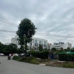  50m2 - 4