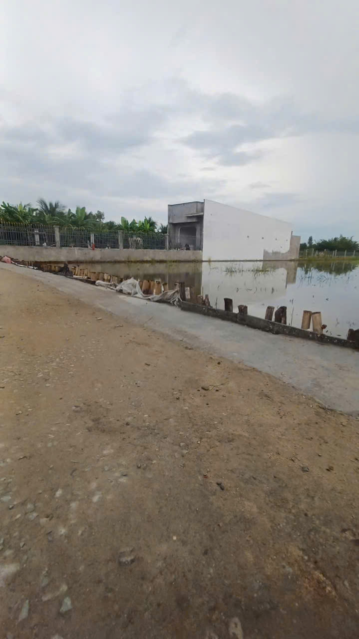 341m2 - 1