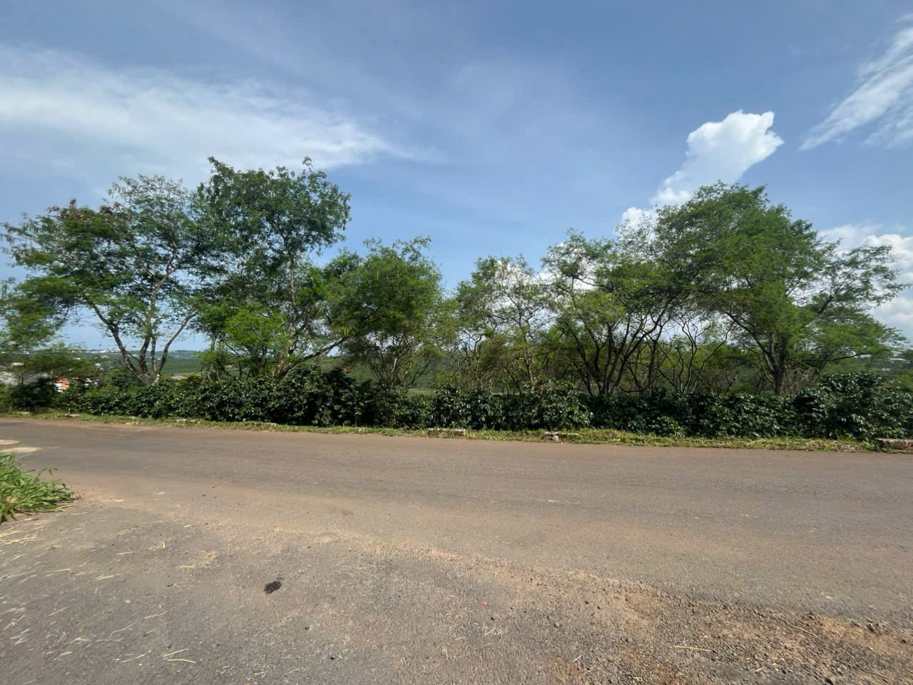 Bán đất mặt tiền đường nhựa tại xã Phúc Thọ, Lâm Hà, Lâm Đồng, 3 triệu/m2, 2872m2, view đẹp