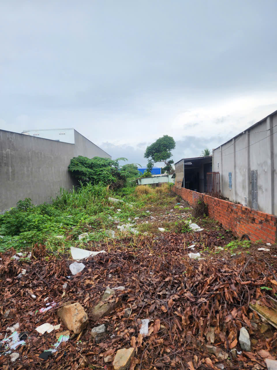 CHÍNH CHỦ CẦN BÁN ĐẤT MẶT TIỀN HƯƠNG LỘ 2, XÃ HÒA LONG, TP BÀ RỊA, BRVT