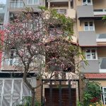  80m2 - 5