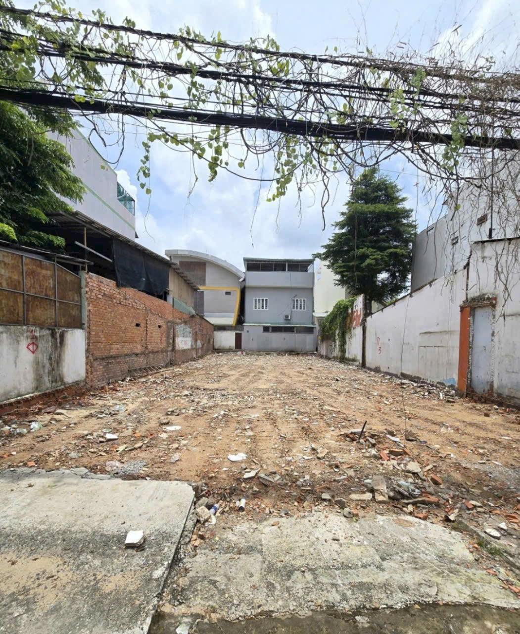 290m2