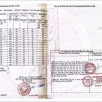  10000m2 - 1