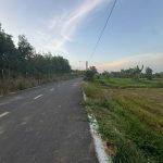  10000m2 - 4