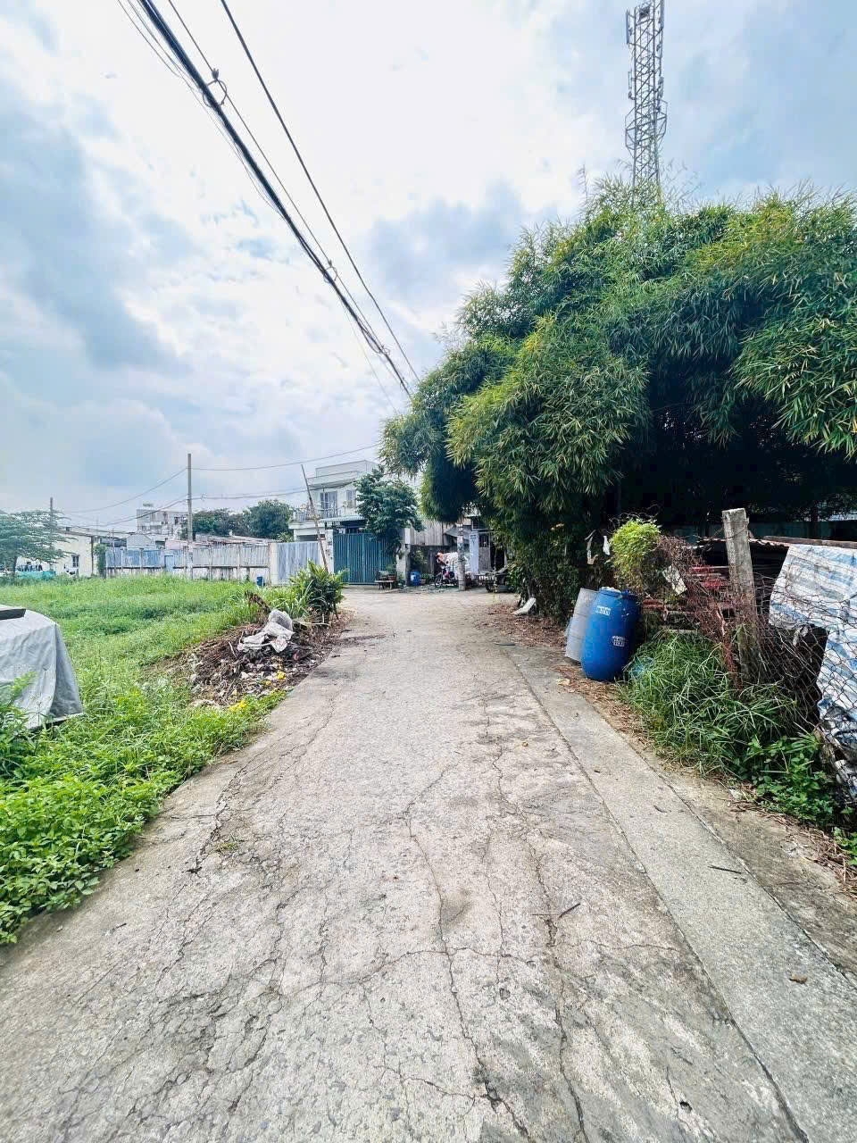 CỰC HIẾM – 3 LÔ ĐẤT THỔ CƯ LIỀN KỀ GIÁ TỐT ĐÔNG THẠNH, HÓC MÔN