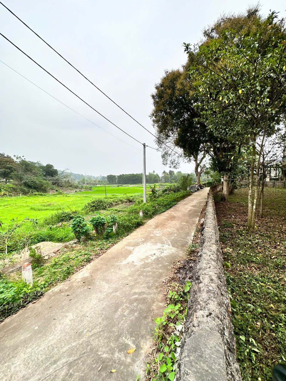 BÁN ĐẤT ĐẸP MỸ TRUNG – PHƯỜNG TÙNG THIỆN, SƠN TÂY, HÀ NỘI