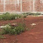 250m2 - 5