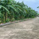  92m2 - 4