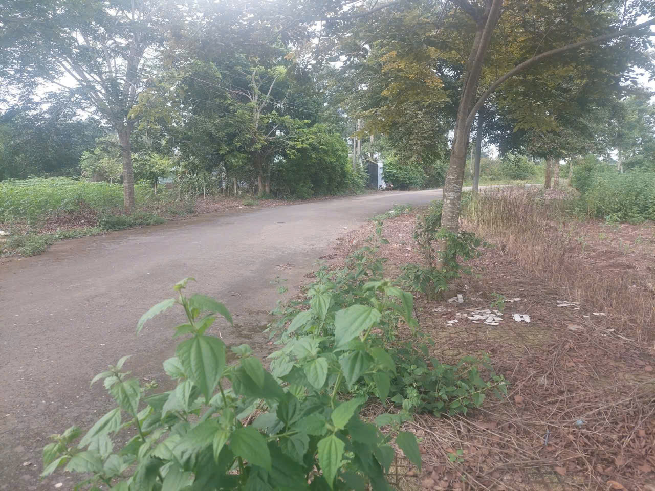 Chủ cần bán lô Đất ở đô thị, diện tích 106m2; Giá: 1ty200