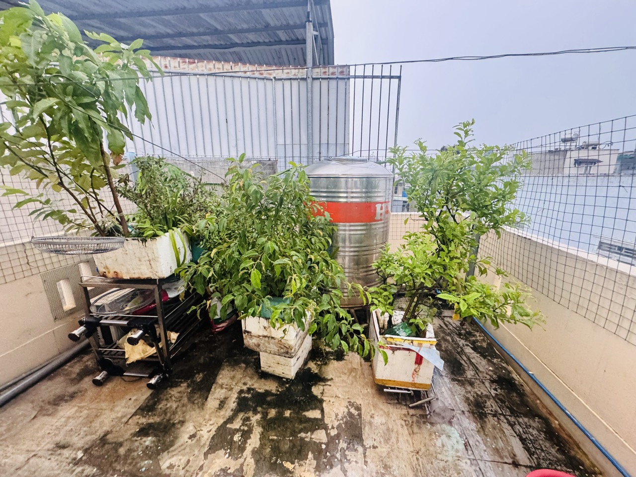 BÁN NHÀ MẶT TIỀN ĐƯỜNG SỐ – P. TAM PHÚ, TP. THỦ ĐỨC – GIÁ CHỈ 5 TỶ