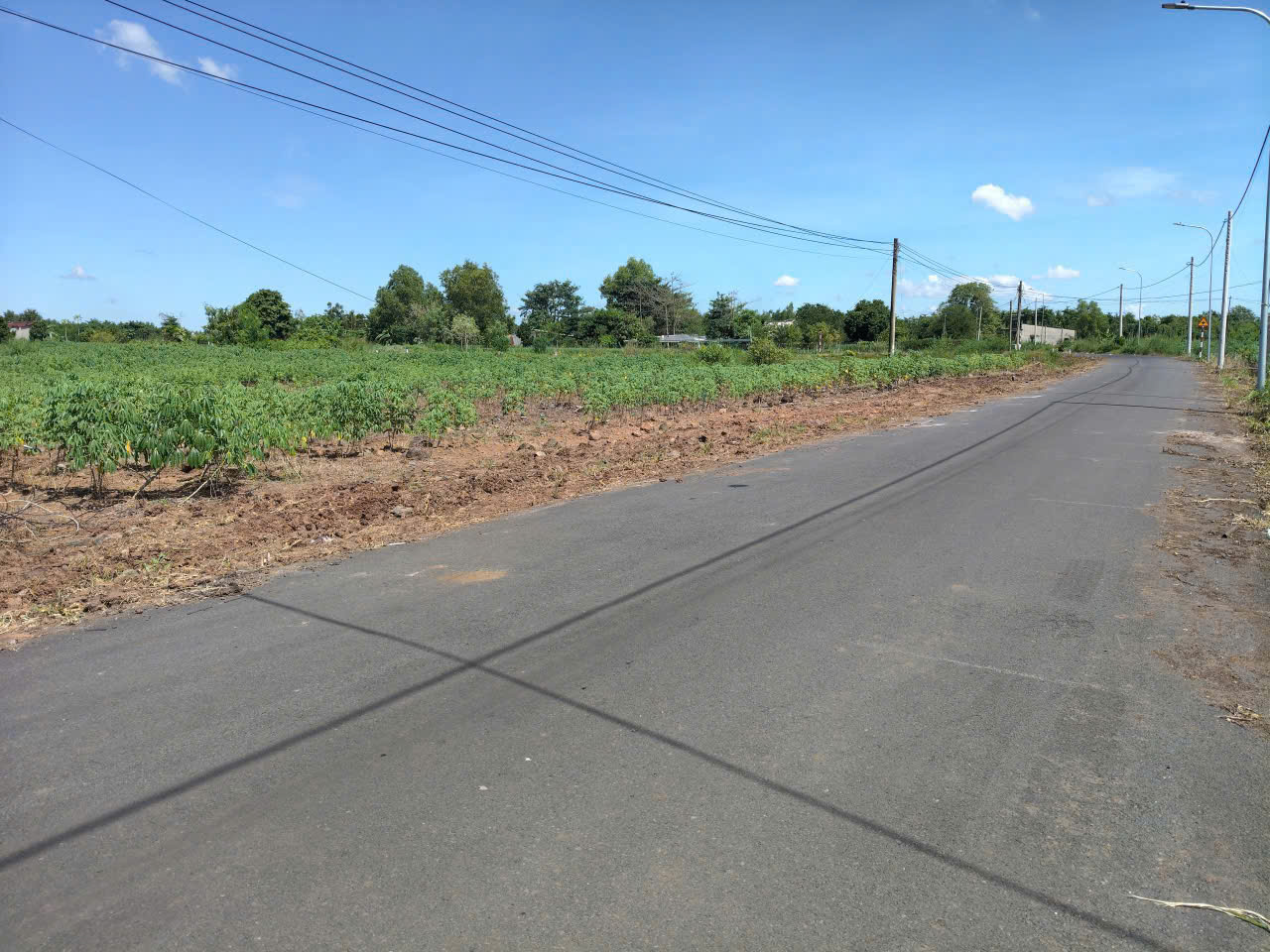 Sỉ 8 lô f0 Ace ai cần bóc sĩ thì liên hệ . Giá rẻ