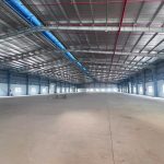 5000m2 - 1