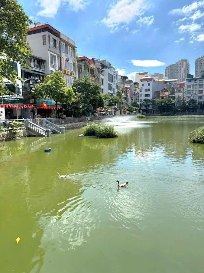 Cực phẩm Trung Kính – View Hồ Trung Kính, 84m², sổ đẹp, bán gấp 32.5 tỷ! Cầu Giấy