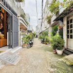40m2 - 1
