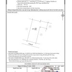 100m2 - 6