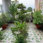 60m2 - 5