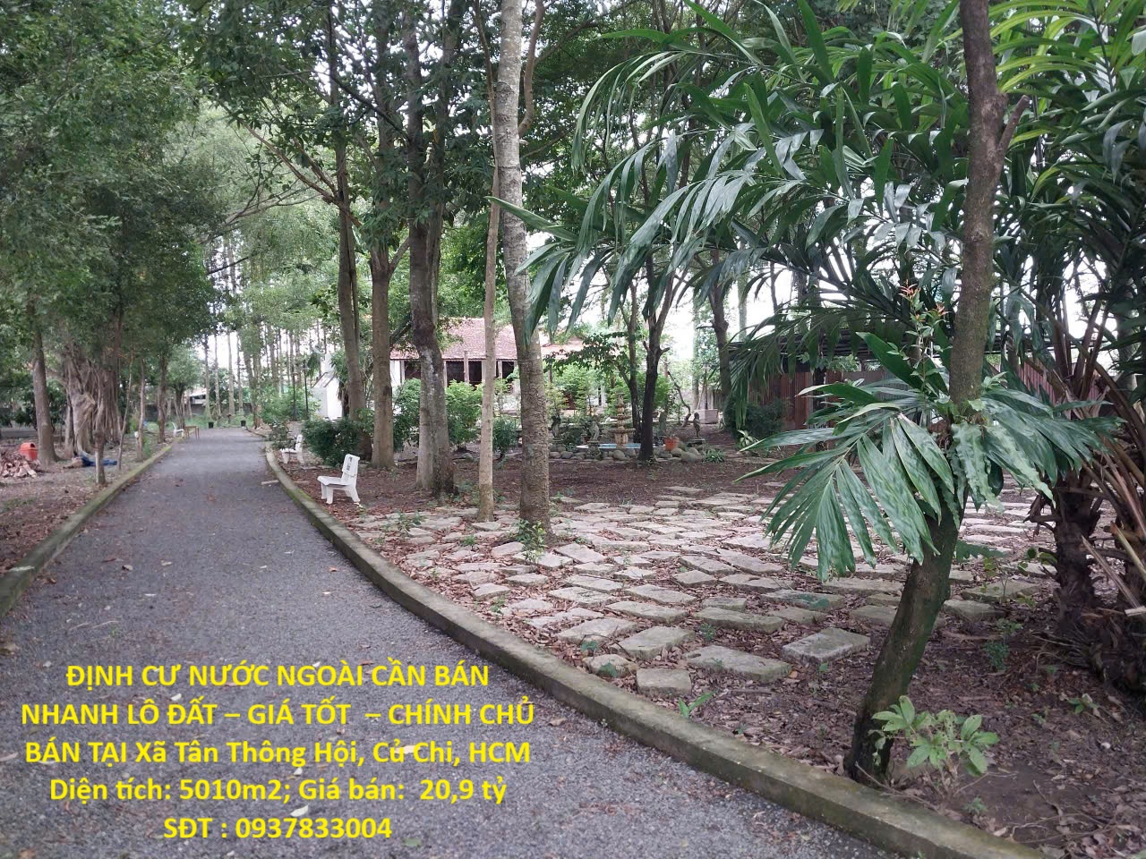 ĐỊNH CƯ NƯỚC NGOÀI CẦN BÁN NHANH LÔ ĐẤT – GIÁ TỐT – CHÍNH CHỦ BÁN TẠI Xã Tân Thông Hội, Củ Chi