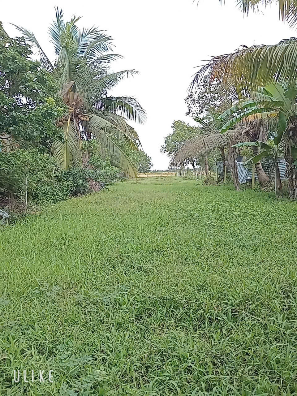 BÁN ĐẤT CHÍNH CHỦ CÓ VỊ TRÍ ĐẸP – XÃ AN NINH ĐÔNG, ĐỨC HÒA, LONG AN