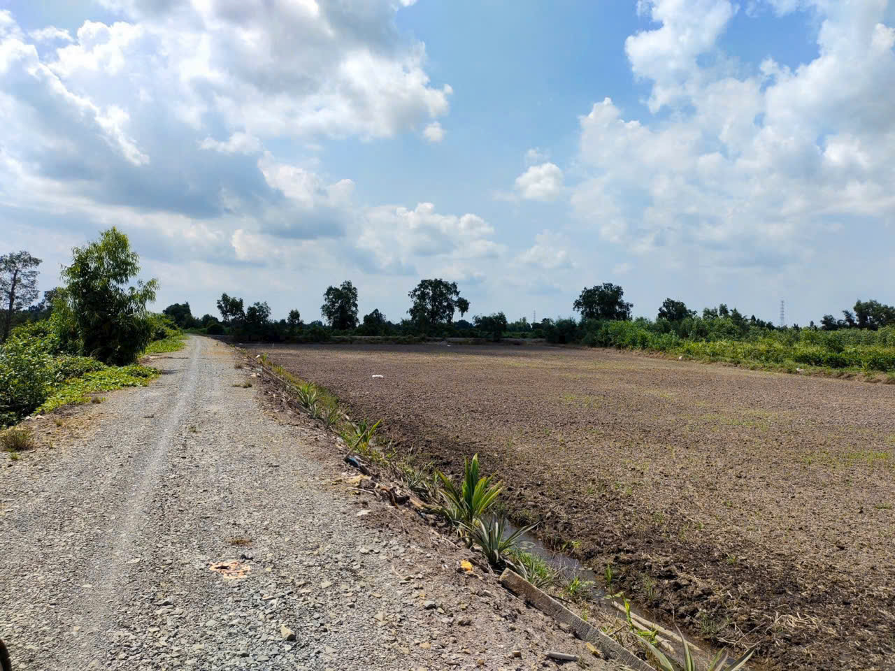 Bán đất vườn mặt tiền kênh ở Thù Thừa tổng dt 13.309m2 giá 7,8 tỷ