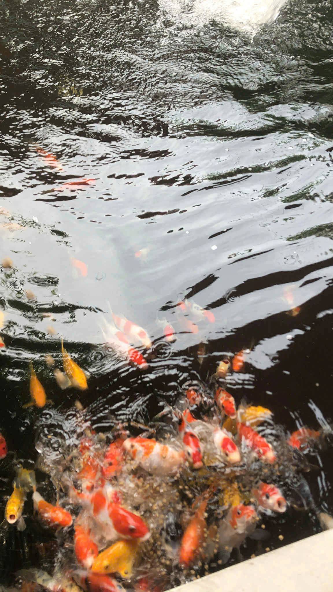 Bán Nhà Diên Toàn-Diên Khánh DT: 188m2 Giá bán: 3,3tỷ có thương lượng