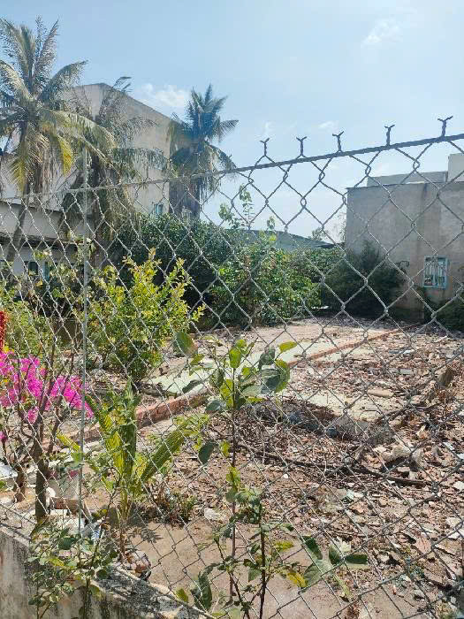 Bán đất xã Nhà Bè – Huỳnh Tấn Phát- 4x17- 4ty850