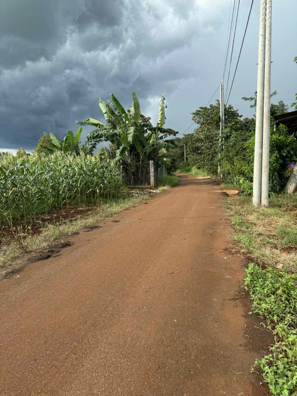 chủ đất cần bán lô đất gần 4.000m2, đường nhựa, cách Mỹ Xuân Ngãi Giao tầm 500m