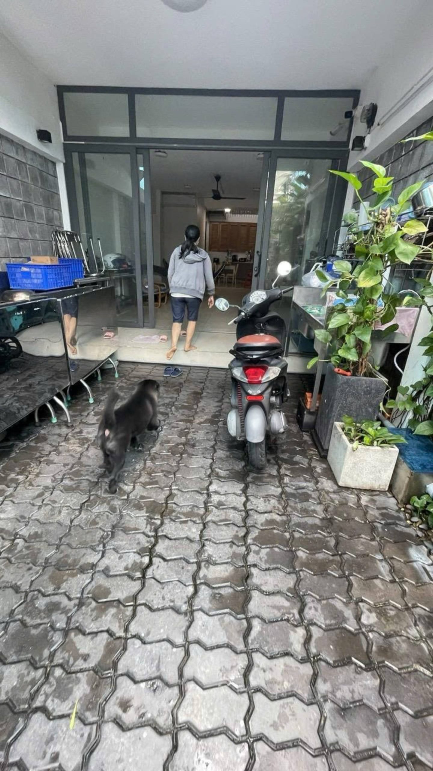 154m² - CHỈ 22.9 TỶ‼️MẶT TIỀN NGUYỄN VĂN ĐẬU-BÌNH THẠNH -bản vẽ xây dựng HIỆN ĐẠI - 2 TẦNG