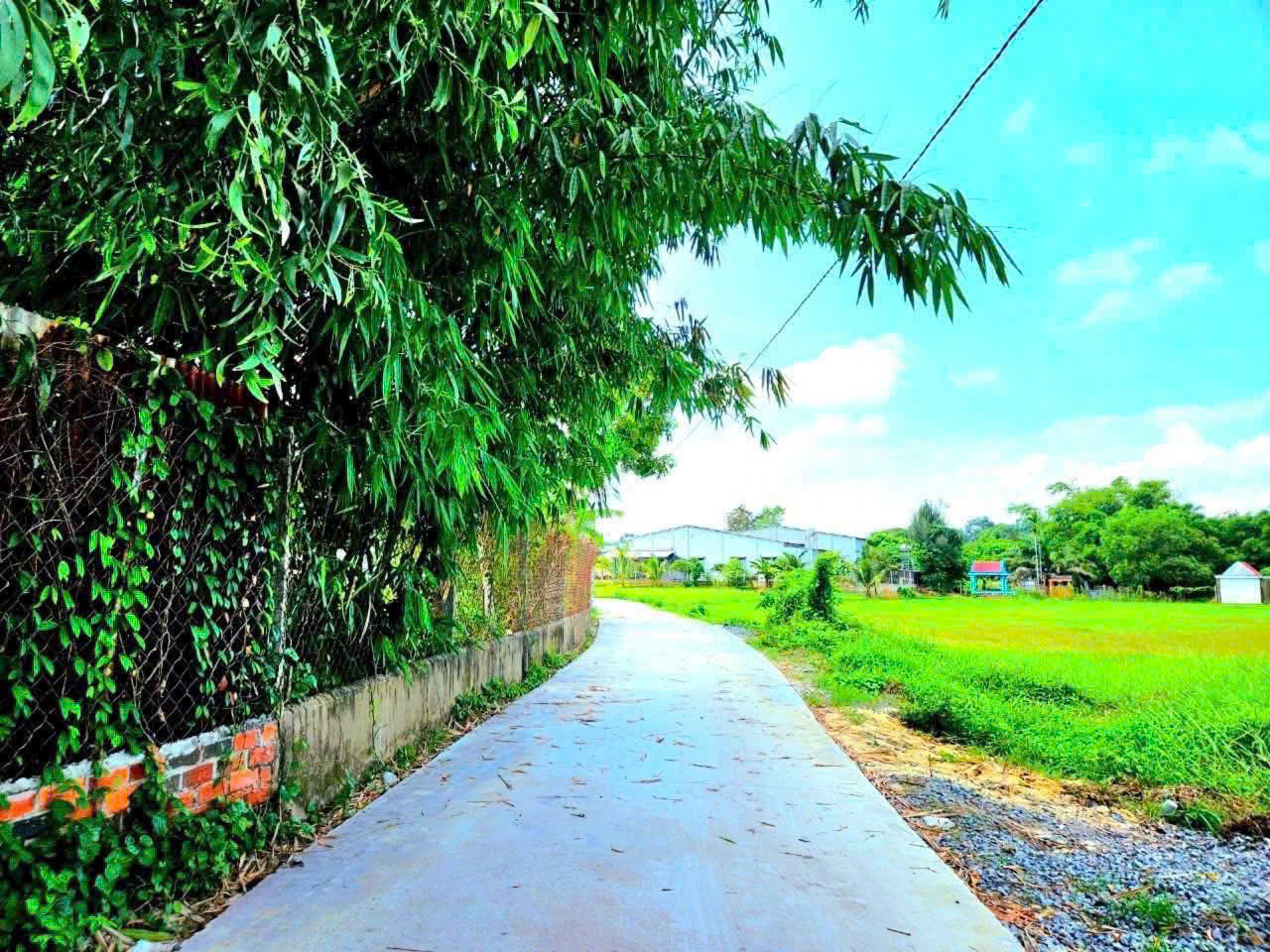 ***SỞ HỮU NGAY * LÔ ĐẤT ĐẸP * GIÁ HỢP LÝ - Vị trí ĐẮC ĐỊA TẠI : Hiệp Thạnh - Gò Dầu - Tỉnh Tây Ninh