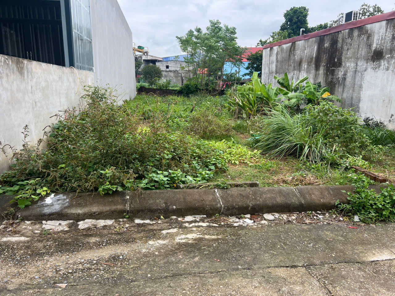 BÁN LÔ ĐẤT CỰC ĐẸP - GIÁ TỐT - Vị Trí Đắc Địa Tại Đông Sơn -Quang Tiến