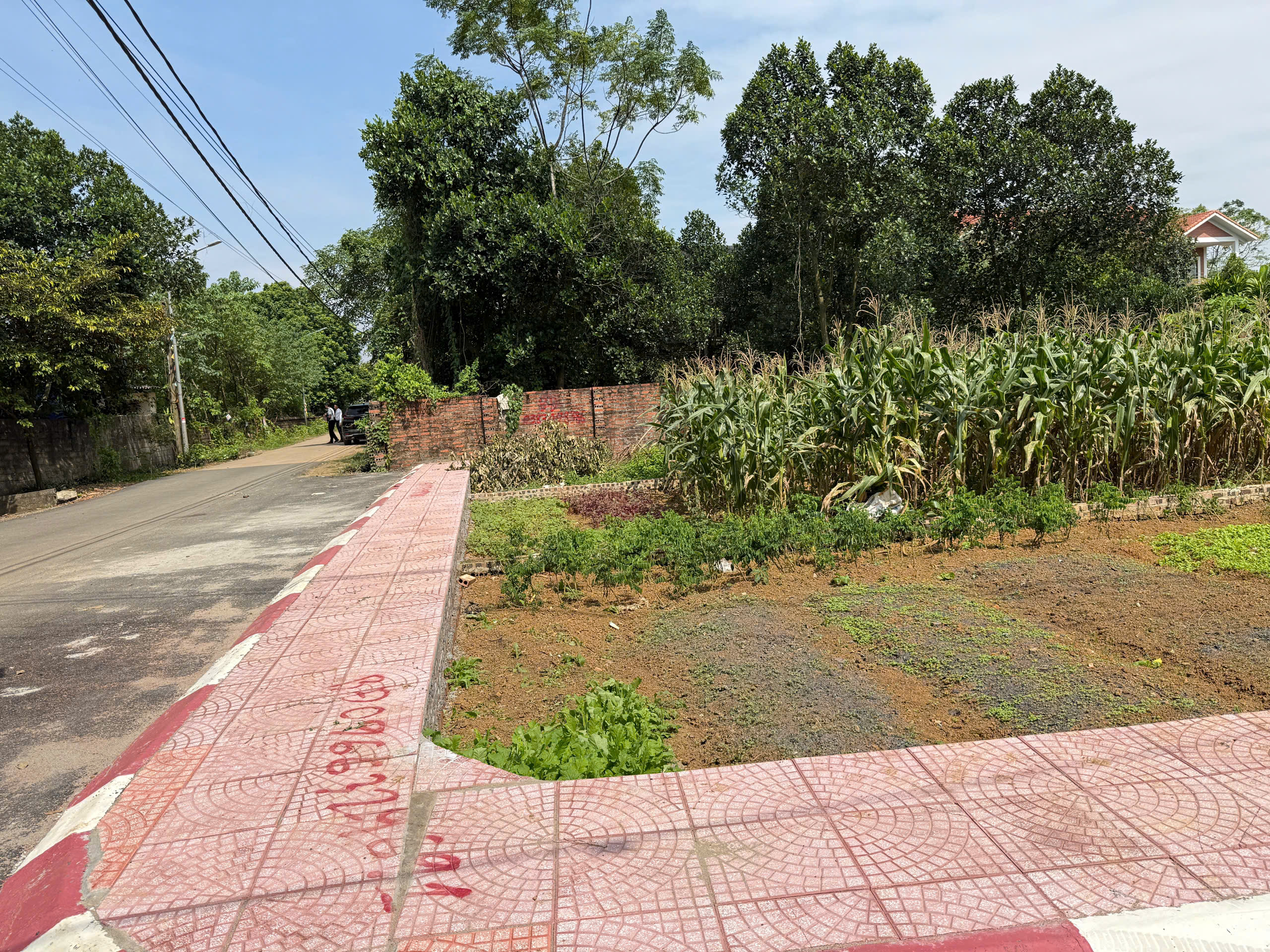 Chỉ 22 triệu/m2 bán lô đất hòa lạc mặt tiền 5m ô tô tránh sát 11 trường đại học